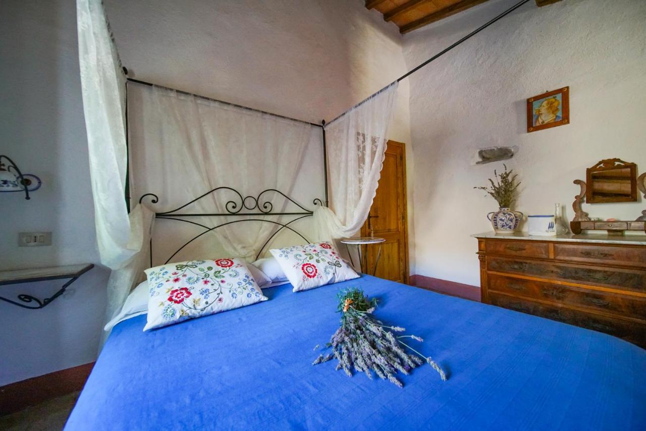 Bed & Breakfast Agriturismo La Colombella Bagni San Filippo