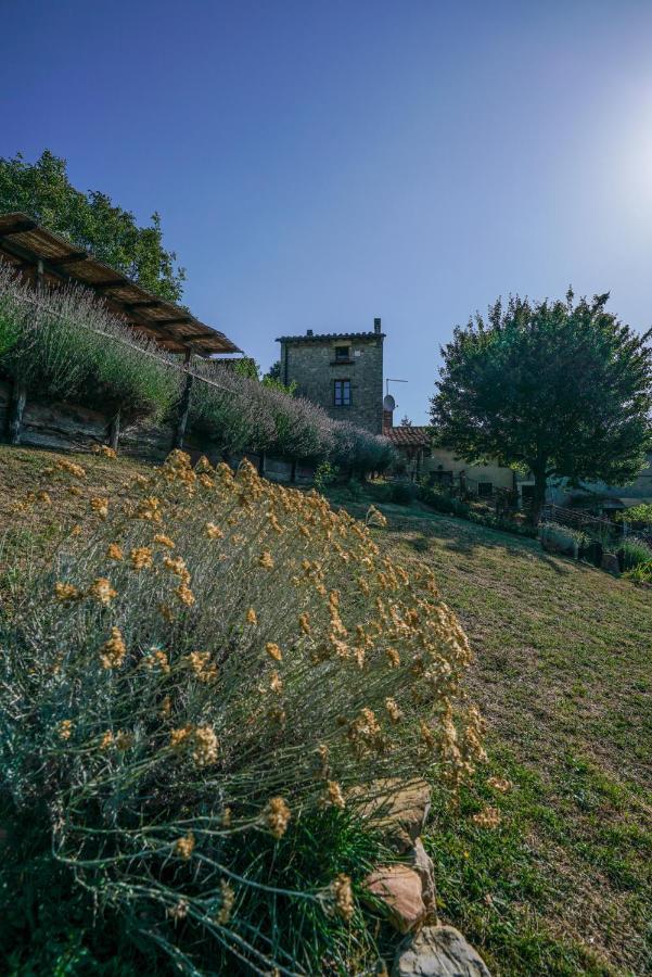 Agriturismo La Colombella Bed & Breakfast *