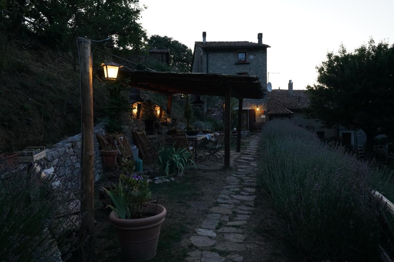 Agriturismo La Colombella Bed & Breakfast Bagni San Filippo