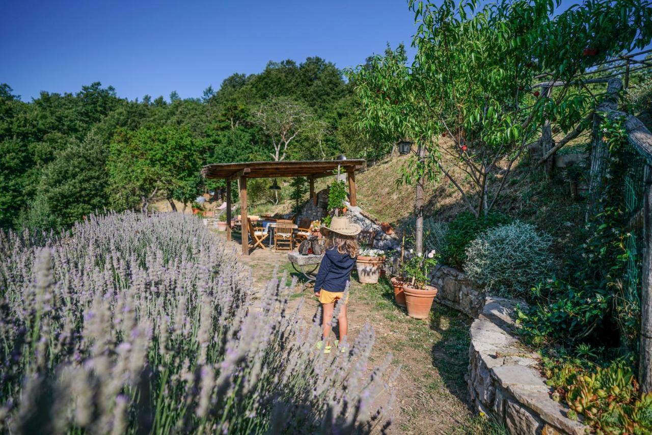 Agriturismo La Colombella Bed & Breakfast Bagni San Filippo