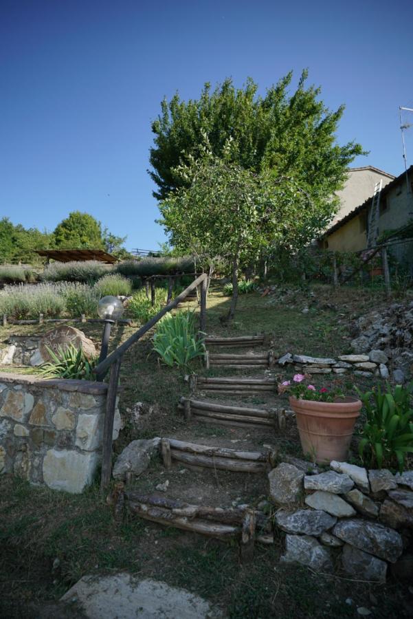 Agriturismo La Colombella * Bagni San Filippo