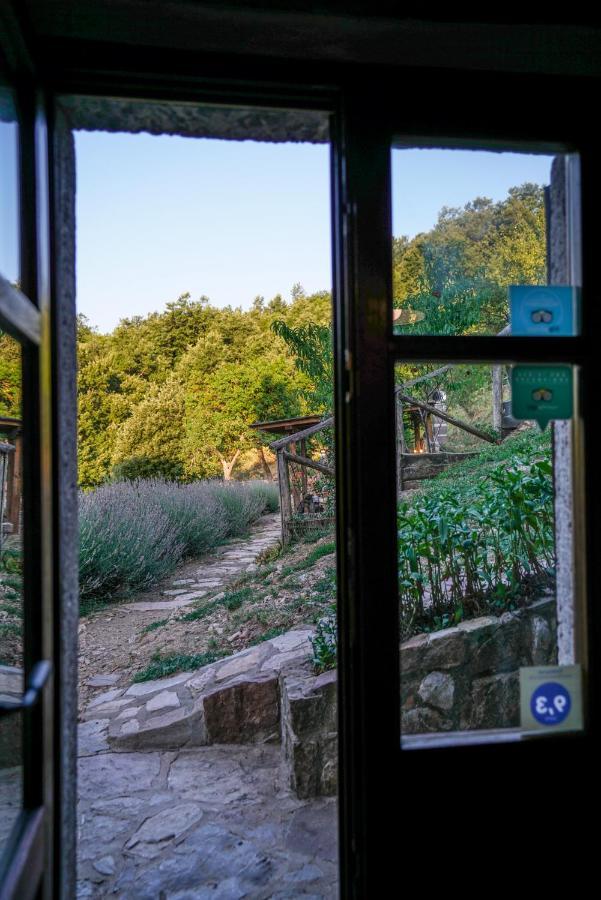 La Colombella *