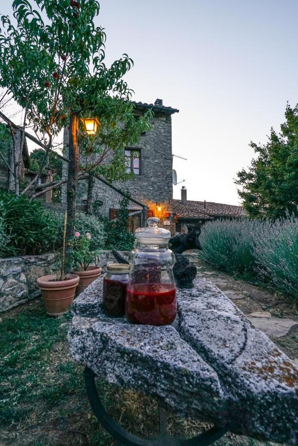 La Colombella Bed & Breakfast Bagni San Filippo